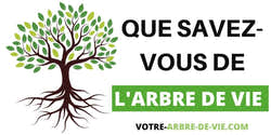 Débardeur Arbre De Vie Celtique - Symbole Homme Femme - Coupe Classique - Culture Et Philosophie Celtique - 6
