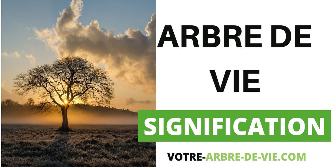 signification arbre de vie