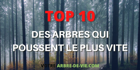 Arbres qui poussent le plus vite