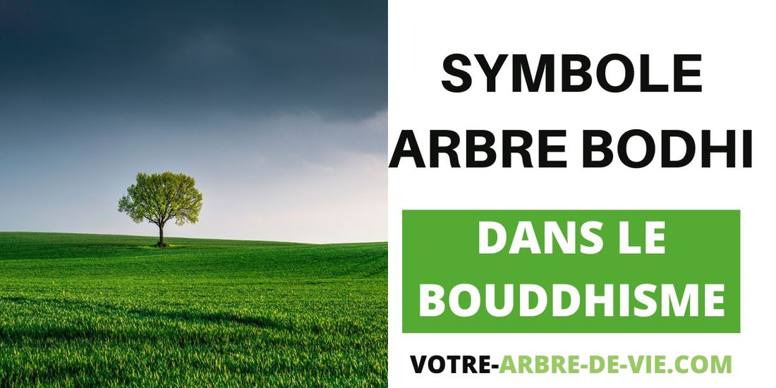 Arbre de la Bodhi dans le bouddhisme