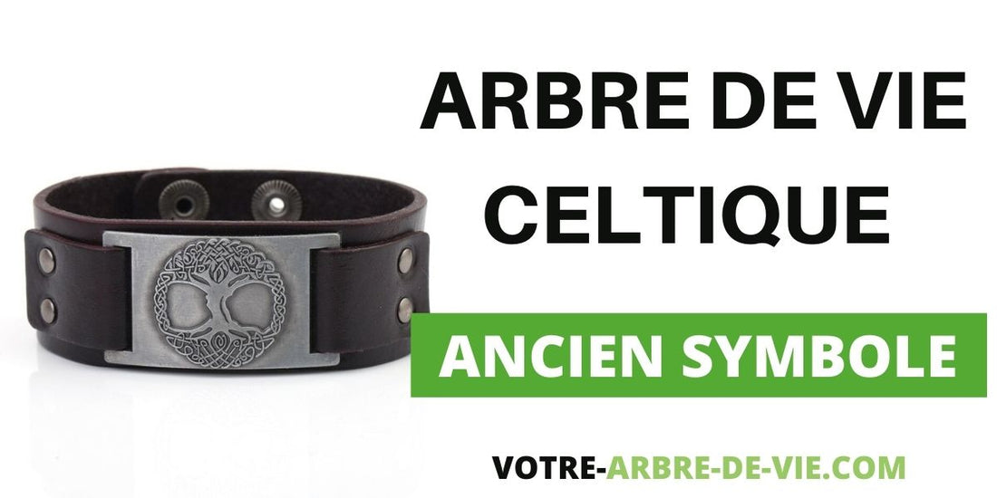 L'arbre de vie Celtique : la signification et l'histoire de cet ancien symbole