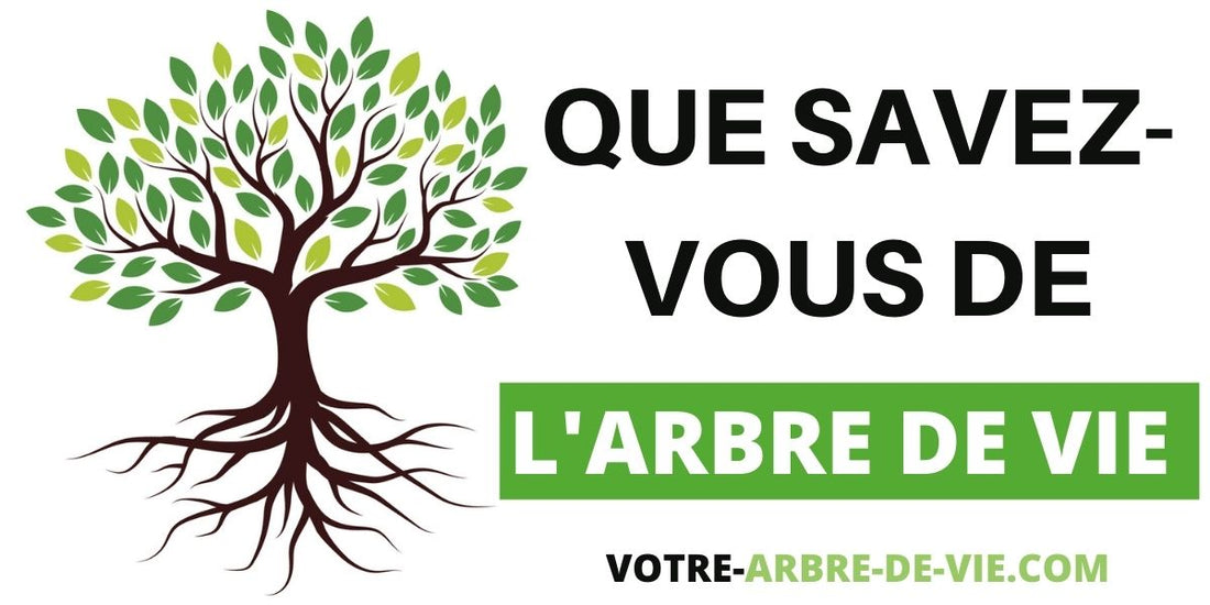 Que savez-vous de l'Arbre de Vie ?
